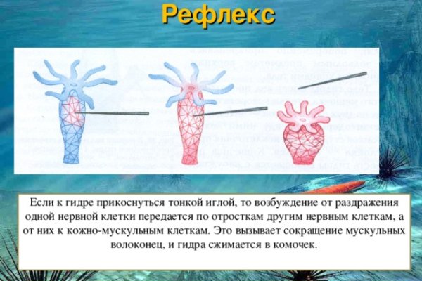 Ссылки на кракен маркетплейс
